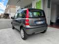 Fiat Panda 1.4 NaturalP Dynamic GARANZIA 24 MESI METANO 2028 Grau - thumbnail 2