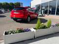 Ford Focus 1.0 EcoBoost 100ch Stop\u0026Start Titanium Rouge - thumbnail 5