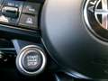 Alfa Romeo Tonale Tonale 1.5 160 CV MHEV TCT7 Sprint Schwarz - thumbnail 15