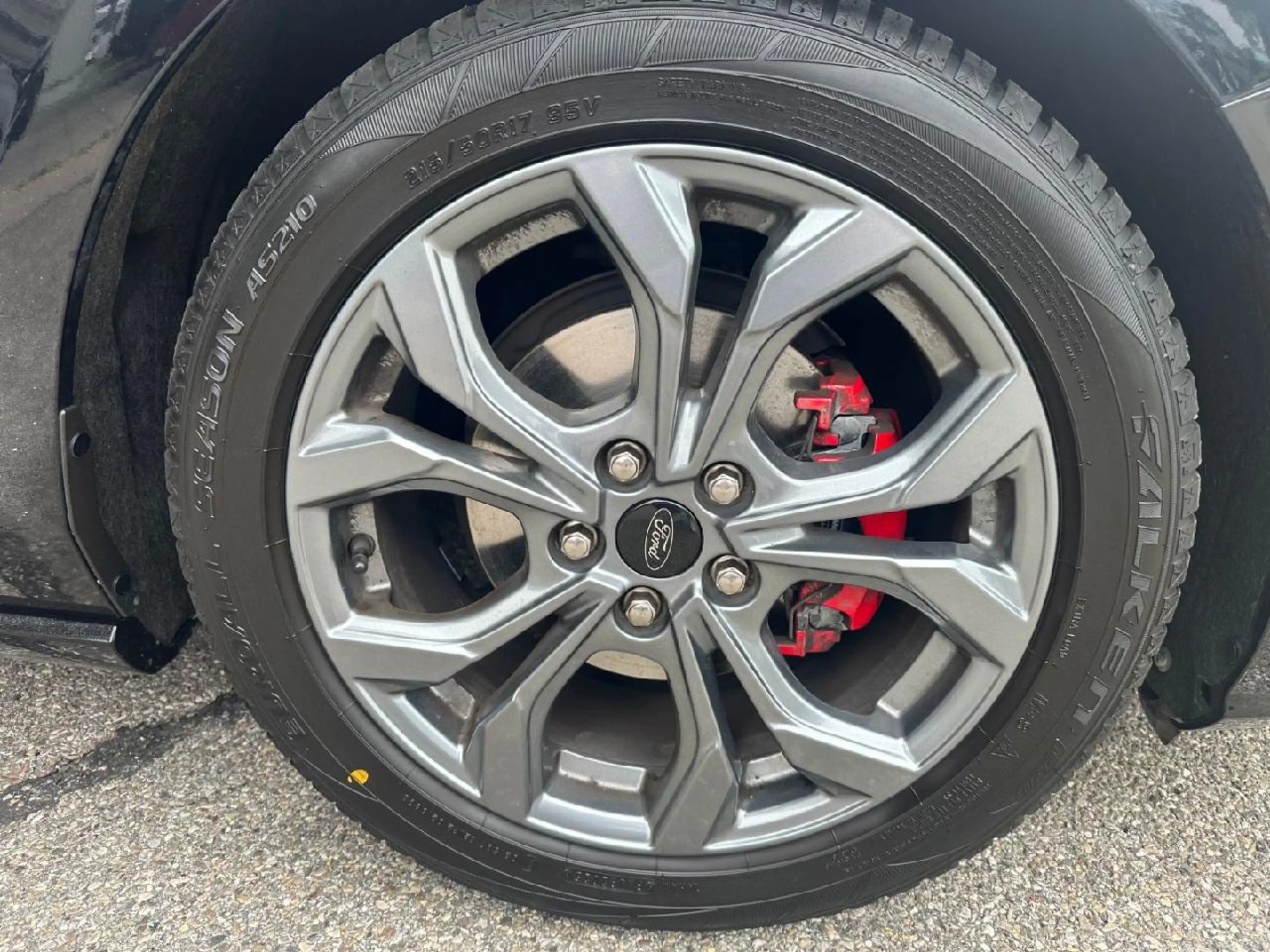 Ford Focus ST-Line X — photo 5