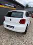 Volkswagen Polo 1.4-16V Highline bijela - thumbnail 8
