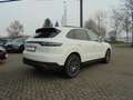 Porsche Cayenne 3.0 TipTronic AWD Pano Bose inkl. Winterräder Weiß - thumbnail 5
