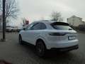 Porsche Cayenne 3.0 TipTronic AWD Pano Bose inkl. Winterräder Weiß - thumbnail 6