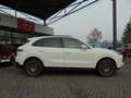 Porsche Cayenne 3.0 TipTronic AWD Pano Bose inkl. Winterräder Weiß - thumbnail 4
