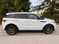 Land Rover Range Rover Evoque Prestige 2,2 TD4 Automatik Weiß - thumbnail 15