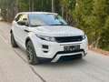 Land Rover Range Rover Evoque Prestige 2,2 TD4 Automatik Weiß - thumbnail 16