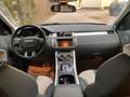 Land Rover Range Rover Evoque Prestige 2,2 TD4 Automatik Weiß - thumbnail 33
