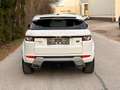 Land Rover Range Rover Evoque Prestige 2,2 TD4 Automatik Weiß - thumbnail 12