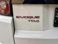 Land Rover Range Rover Evoque Prestige 2,2 TD4 Automatik Weiß - thumbnail 10
