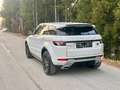 Land Rover Range Rover Evoque Prestige 2,2 TD4 Automatik Weiß - thumbnail 6