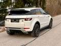Land Rover Range Rover Evoque Prestige 2,2 TD4 Automatik Weiß - thumbnail 13