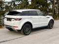 Land Rover Range Rover Evoque Prestige 2,2 TD4 Automatik Weiß - thumbnail 14