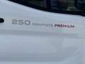 Ford Transit Bus MOTORHOME // 250 GRAPHITE PREMIUM - thumbnail 6