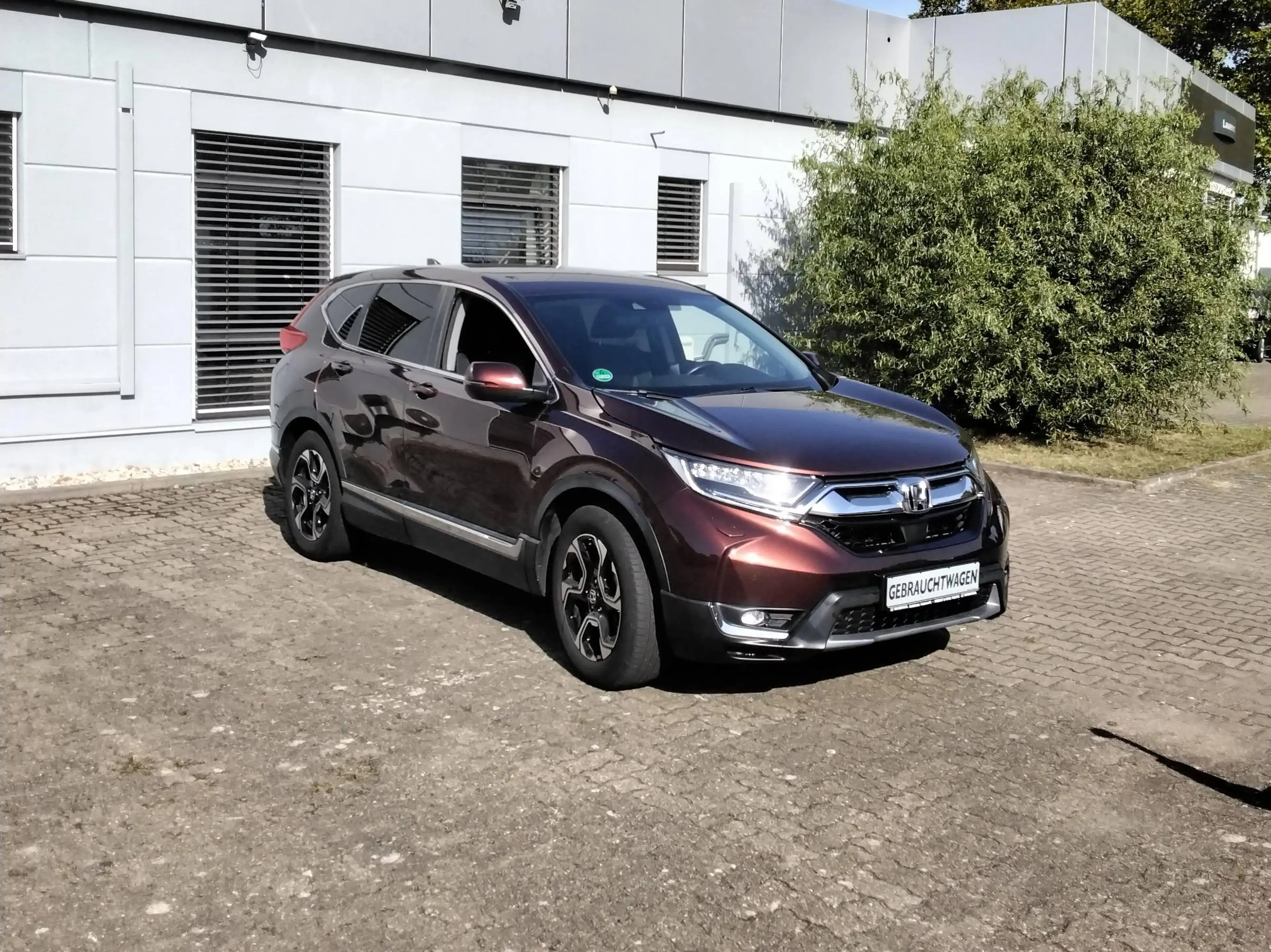 Honda CR-V 1.5 T 2WD Elegance — photo 2
