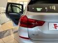 BMW X3 xDrive20d 48V 190CV Business Advantage DIESEL IBRI Gris - thumbnail 29