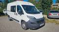 Citroen Jumper Grossraumkasten 33 L2H2 Profi teilverglas Weiß - thumbnail 3