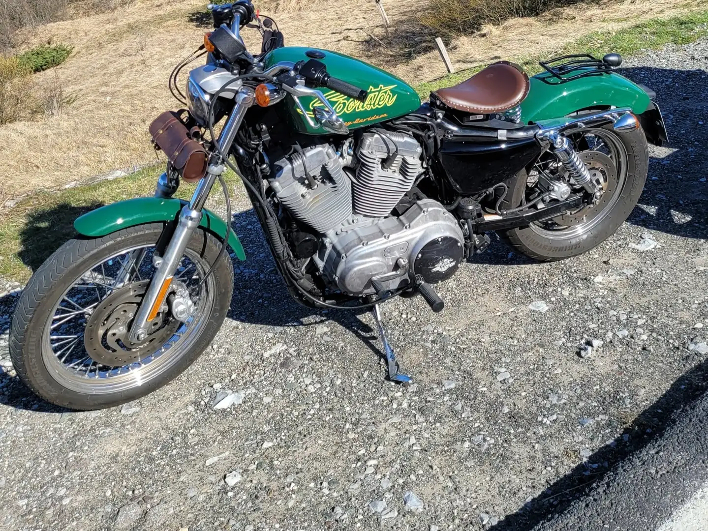 Harley-Davidson Sportster 883 Verde - 2