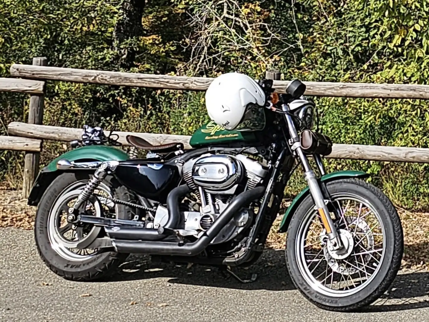 Harley-Davidson Sportster 883 Verde - 1