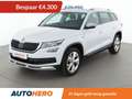 Skoda Kodiaq 1.5 TSI ACT Scout 4x4 Fehér - thumbnail 1