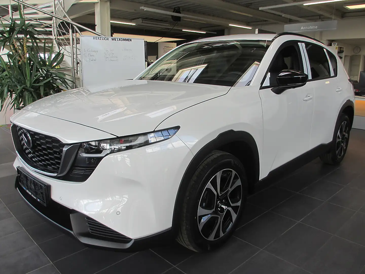 Mazda CX-5 /G141/AWD/AT/Exclusive Line Weiß - 2