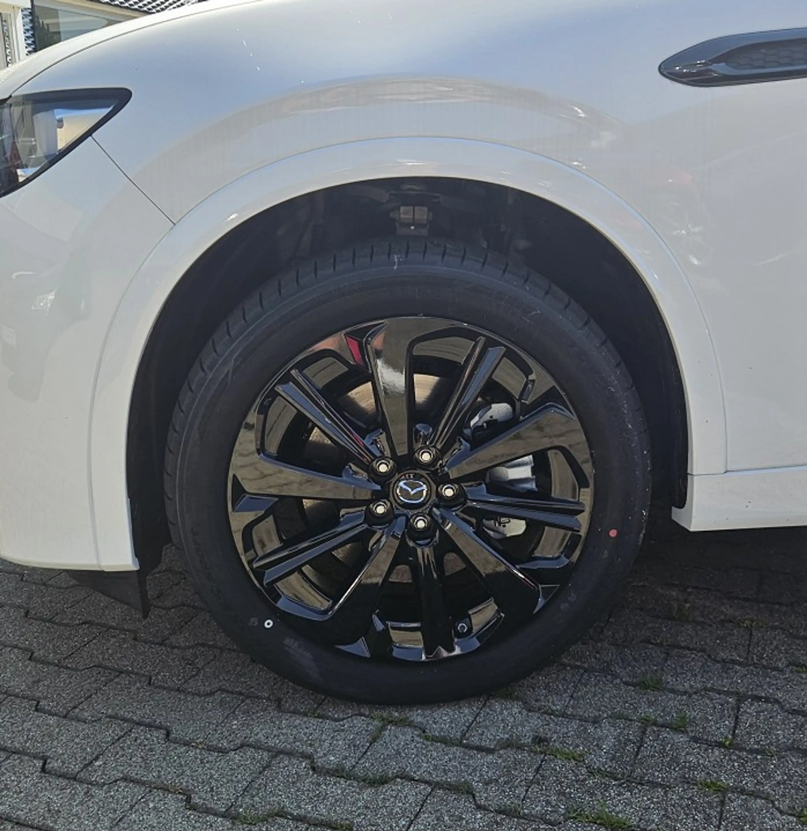 Mazda CX-60 2.5 e-SKYACTIV PHEV 8AT AWD Homura COSO — photo 10