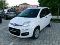 Fiat Panda Panda 0.9 t.air t. natural power Lounge 80cv Bianco - thumbnail 1