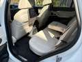 BMW X5 xDrive50i High Executive / M-PAKKET / AUTOMAAT / M Weiß - thumbnail 7