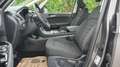 Ford Galaxy Hybrid Titanium FHEV-7 Sitze,LHZ,SHZ,WSS beheizt Gri - thumbnail 3