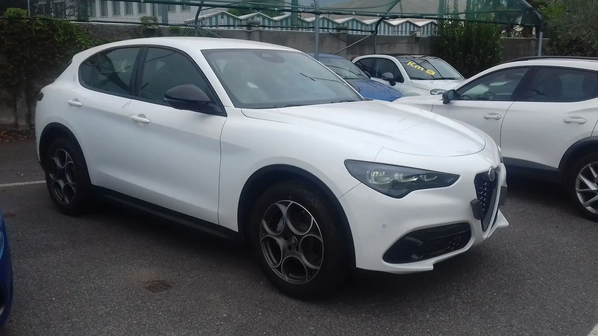 Alfa Romeo Stelvio SPRINT N1 AUTOCARRO 5 POSTI 2.2 Turbodiesel 160 C Weiß - 1