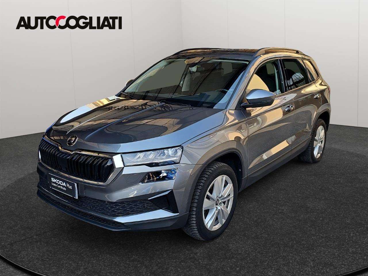 Skoda Karoq Karoq 2.0 TDI 150 CV Executive DSG