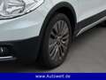 Suzuki SX4 S-Cross 1.6 Klima Parkhilfe Tempo Weiß - thumbnail 8