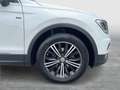 Volkswagen Tiguan Comfortline TDI SCR Blanc - thumbnail 6