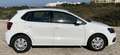 Volkswagen Polo 1.4 TDI BMT Bluemotion 55kW - thumbnail 8