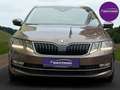 Skoda Octavia L&K 4x4 Automatik *Standheizung* Braun - thumbnail 50