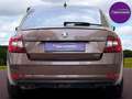 Skoda Octavia L&K 4x4 Automatik *Standheizung* Braun - thumbnail 44