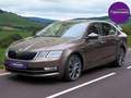 Skoda Octavia L&K 4x4 Automatik *Standheizung* Braun - thumbnail 7