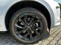 Land Rover Discovery Sport Discovery Sport 2.0d td4 mhev SE R-Dynamic /1 prop Wit - thumbnail 12