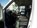Fiat Ducato Ducato 35 2.3 MJT 130CV Cabinato Bianco - thumbnail 8
