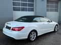 Mercedes-Benz E 200 CGI Cabrio Aut. *AMG-Sportpaket* Weiß - thumbnail 18