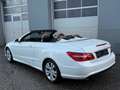 Mercedes-Benz E 200 CGI Cabrio Aut. *AMG-Sportpaket* Weiß - thumbnail 3