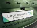 Ford Kuga Hybrid Active X Grün - thumbnail 6