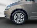 Volkswagen Golf Plus VI Life*AUTOMATiK*SHZG*ALU*AHK Braun - thumbnail 19