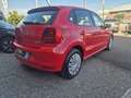 Volkswagen Polo 1.2 TSI DSG 5p. Original BlueMotion Technology Rosso - thumbnail 6
