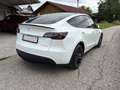 Tesla Model Y Model Y AWD 79kWh Performance Performance Weiß - thumbnail 1