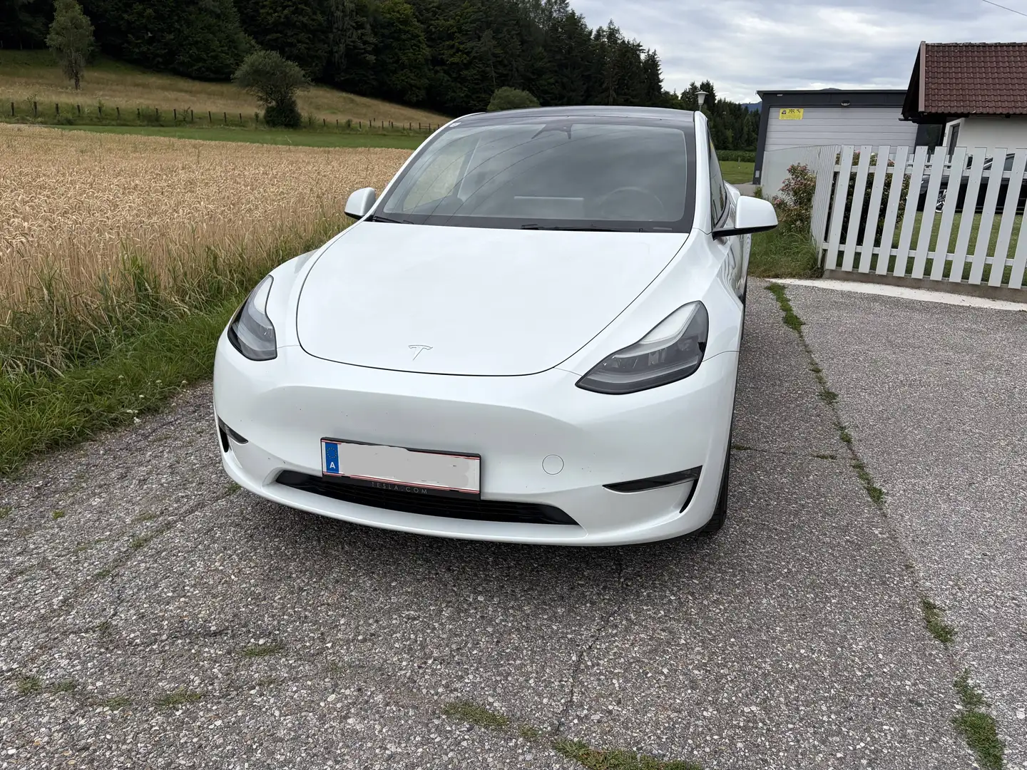 Tesla Model Y Model Y AWD 79kWh Performance Performance Weiß - 2