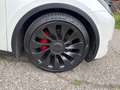 Tesla Model Y Model Y AWD 79kWh Performance Performance Weiß - thumbnail 10