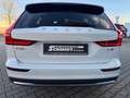 Volvo V60 Cross Country B5 B AWD Ultimate Standheizung Weiß - thumbnail 4