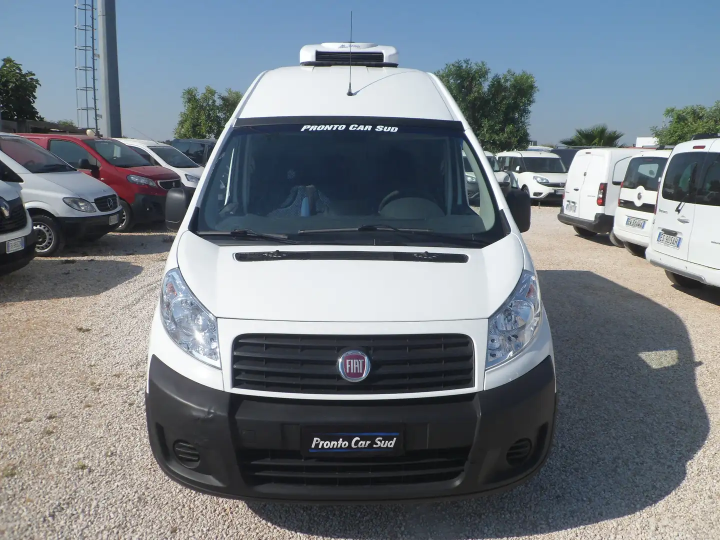 Fiat Scudo maxi tetto alto frigo coibentato Bianco - 2