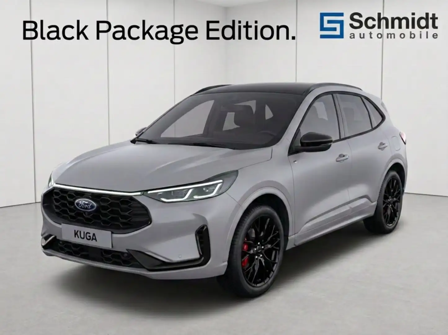 Ford Kuga ST-Line X 2,5L Duratec FHEV 183PS A AWD Grau - 1