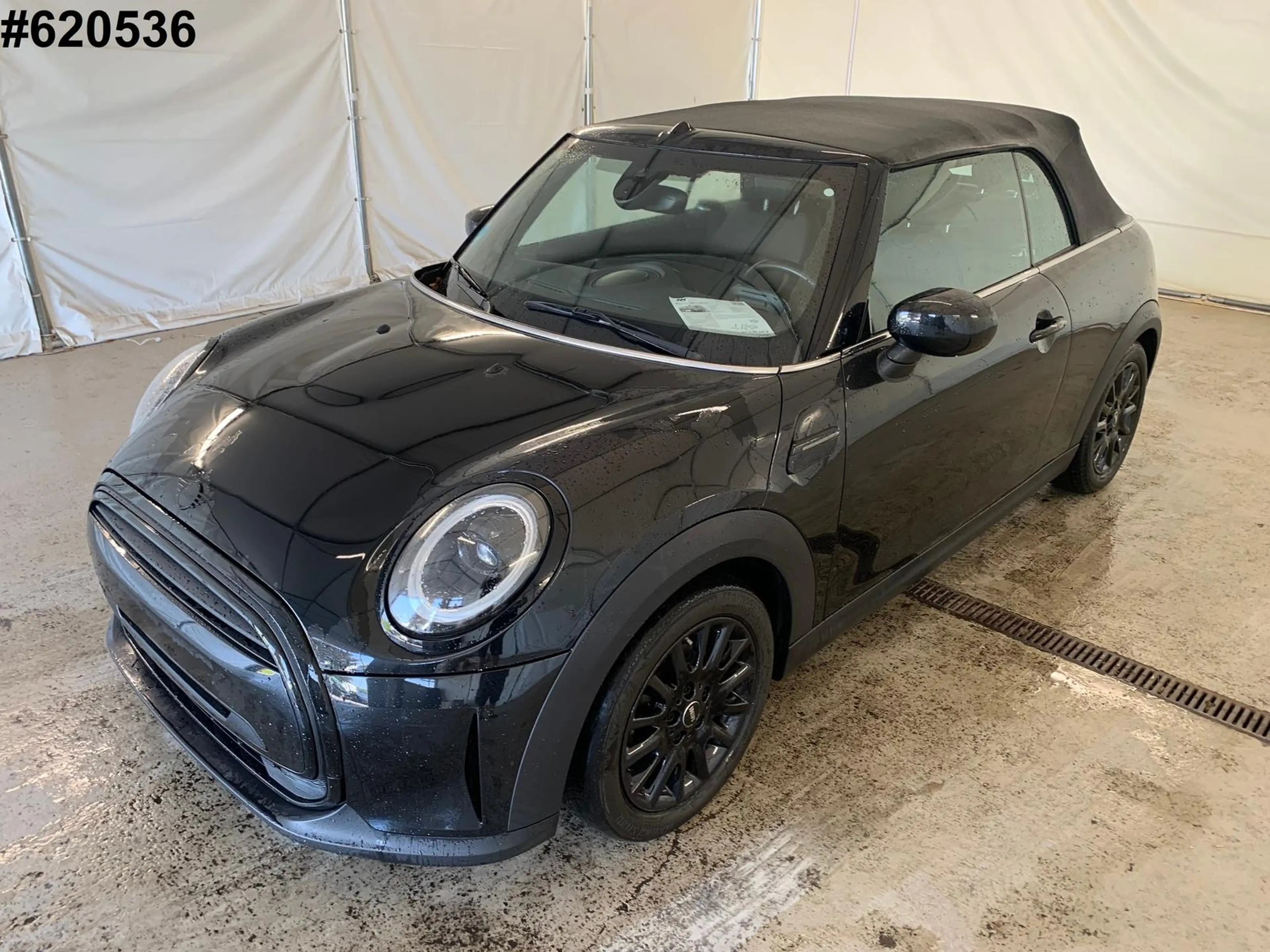 MINI Cooper Cabrio Facelift DAB DrivAss Kam Ambiente